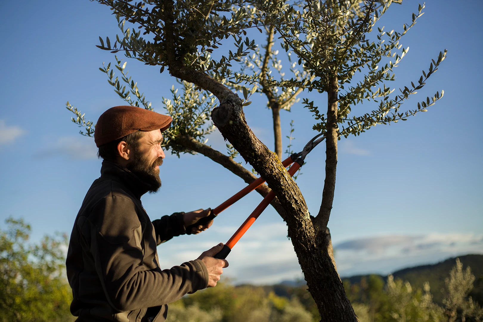 portrait de reportage paysan provence